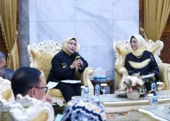 Pemkab Serang tingkatkan literasi hingga Desa. (ISTIMEWA)