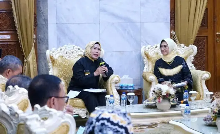 Pemkab Serang tingkatkan literasi hingga Desa. (ISTIMEWA)