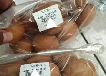 Miris, Ibu Tiga Anak Curi Telur Untuk Makan Di Pondok Aren
