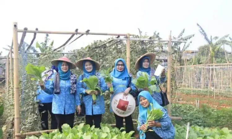 Keren, Jatiuwung Kota Tangerang Juara 1Lomba Pemanfaatan Lahan Pekarangan Tingkat Provinsi