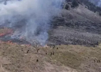 Akses Masuk Gunung Bromo Ditutup Usai Bukit Teletubbies Kebakaran