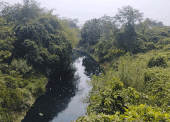 Dewan Minta DLHK Kabupaten Tangerang Periksa Air Sungai Cimanceuri