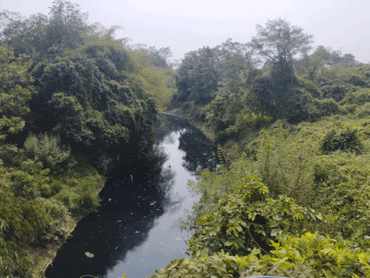 Dewan Minta DLHK Kabupaten Tangerang Periksa Air Sungai Cimanceuri