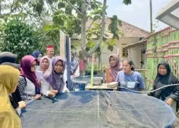 Diskan Bina Kelompok Pengolah Ikan di Dua Desa