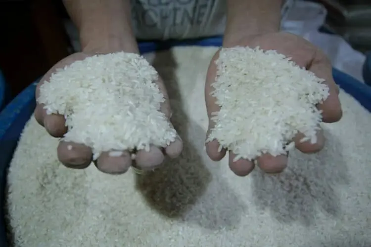 BPS Banten: Harga Beras Lambungkan Inflasi