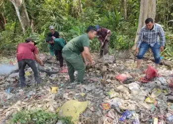 Potensi Kebakaran Hutan TNUK Tinggi, Pegawainya Bersihkan Sampah dan Daun Kering