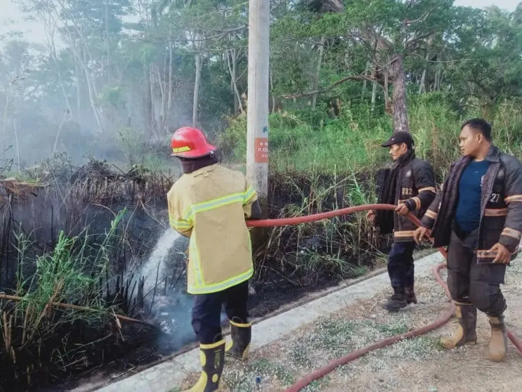 1 Hektar Lahan di Pandeglang Terbakar, Ini Penyebabnya 