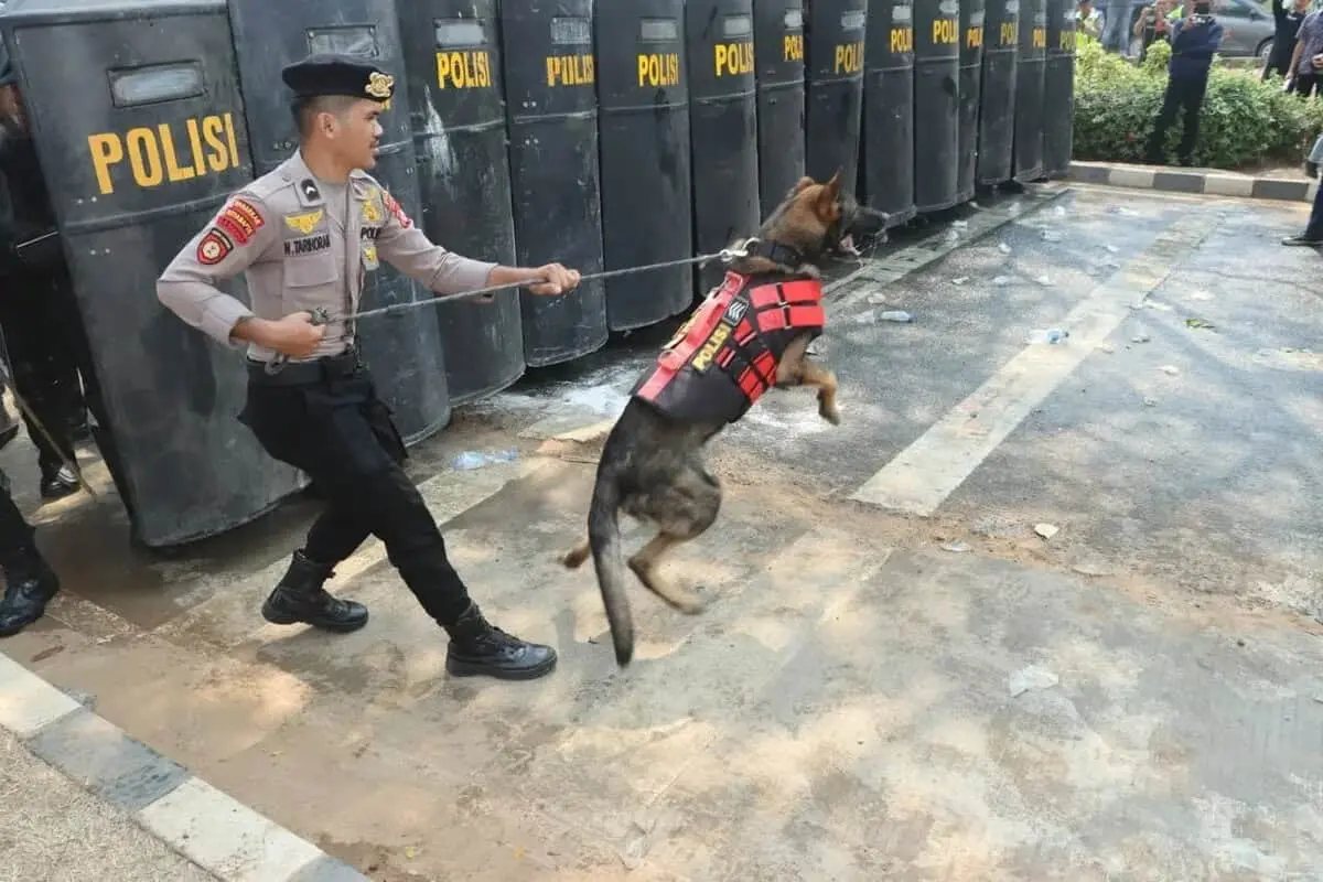 Polresta Tangerang Gelar Simulasi Sispamkota, Tingkatkan Kesiapan Hadapi Pemilu Polresta Tangerang Gelar Simulasi Sispamkota, Tingkatkan Kesiapan Hadapi Pemilu
