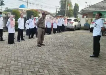 Akibat Gangguan Server Pusat, Pendaftaran P3K di Pandeglang Diperpanjang