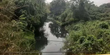 DLHK Kabupaten Tangerang Pastikan Sungai Cimanceuri Tercemar Limbah