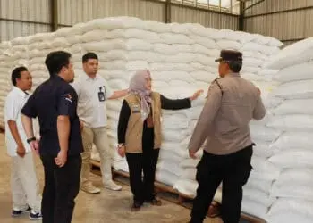 Pastikan Stok dan Kualitas Beras, Asda II Setda Pandeglang Lakukan Ini