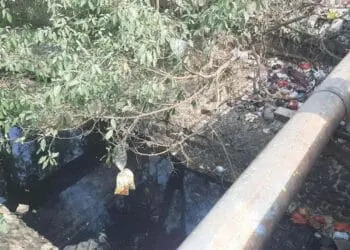 Deteksi Sumber Limbah, GPLI Dukung Susur Sungai Cimanceuri