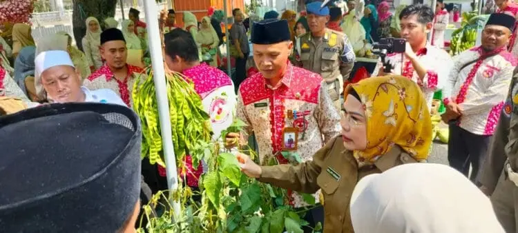 Daun Talas Beneng Kabupaten Serang Tembus Pasar Ekspor