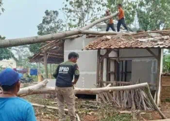 Personel BPBDPK Kabupaten Pandeglang, mengevakuasi pohon tumbang yang menimpa rumah warga. (ISTIMEWA)