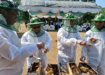 BEM Vokasi UI Kembangkan UMKM di Desa Wisata Kubang Baros Kabupaten Serang 