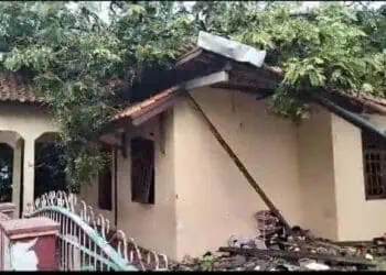 Rumah korban meninggal dunia, rusak parah tertimpa pohon tumbang, di Kabupaten Pandeglang, Kamis (26/10/2023). (ISTIMEWA)