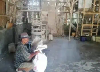 Petani Gagal Panen, Penggilingan Padi di Lebak Minim Beroperasi
