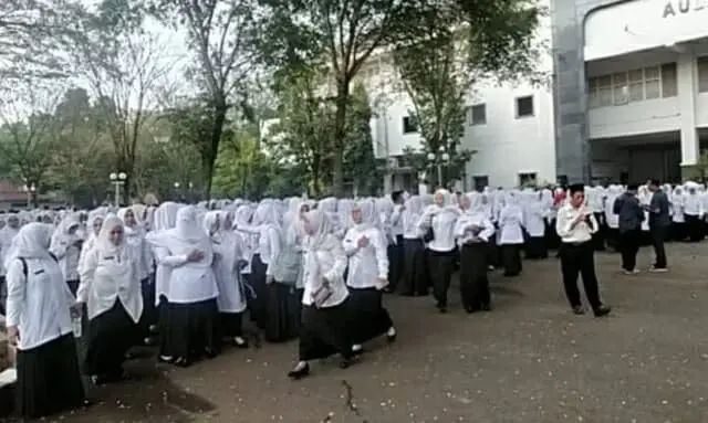 ILUSTRASI: PPPK perempuan. ISTIMEWA