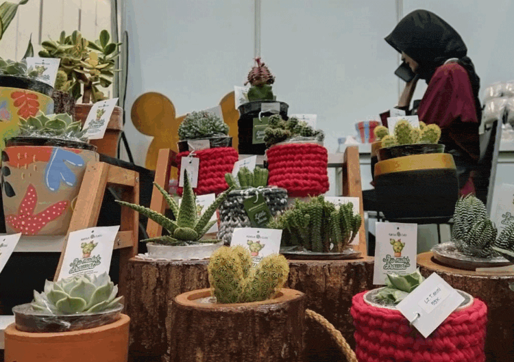 Pehobi Buru Tanaman Hias Incaran di FLOII 2023