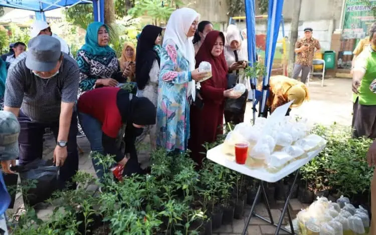 DKP Kota Tangerang Rutin Bagikan Bibit Tanaman dan Ikan Gratis