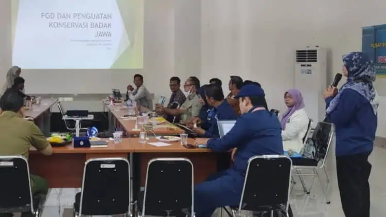 Minta Dukungan Masyarakat, TNUK Targetkan Tujuh Bayi Badak Lahir dalam Setahun