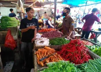 Harga Cabai Semakin Pedas, Di Kabupaten Serang Tembus Rp80.000 per Kilogram