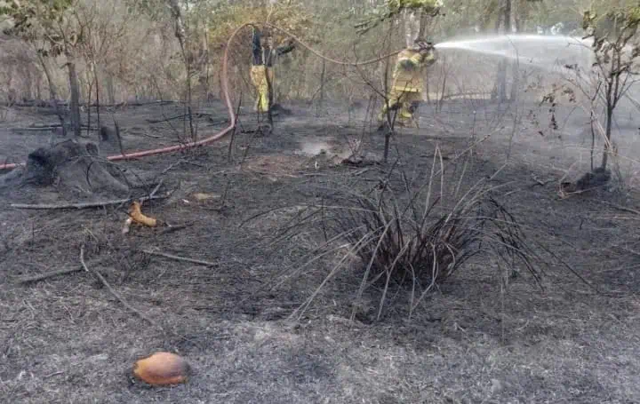 Geger Lahan Warga Terbakar, BPBDPK Kabupaten Pandeglang Terjunkan Tim Damkar