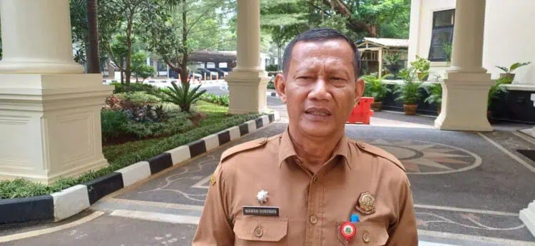 59 Ribu Hektar Hutan Lestari di Banten Butuh Reboisasi