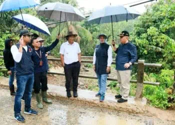 14 KM Jalan Sumur - Ujung Jaya Kabupaten Pandeglang Digarap 2024