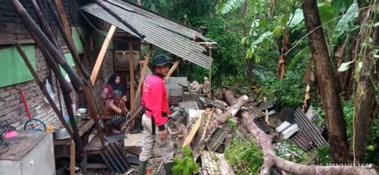 Cuaca Buruk, Sejumlah Rumah Warga di 2 Kecamatan di Pandeglang Ambruk Tertimpa Pohon
