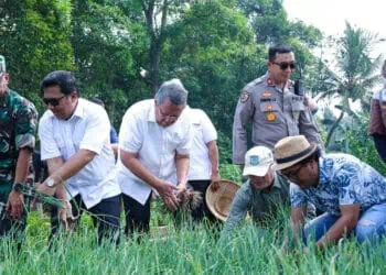 Benyamin Davnie: Jagung Pulut Bisa Jadi Produk Unggulan Tangsel