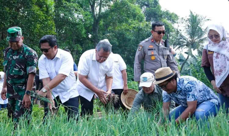 Benyamin Davnie: Jagung Pulut Bisa Jadi Produk Unggulan Tangsel