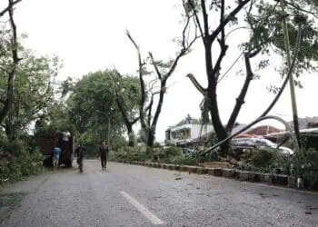 Disbudpar Kota Tangerang Persilakan Masyarakat Ajukan Pemangkasan Pohon