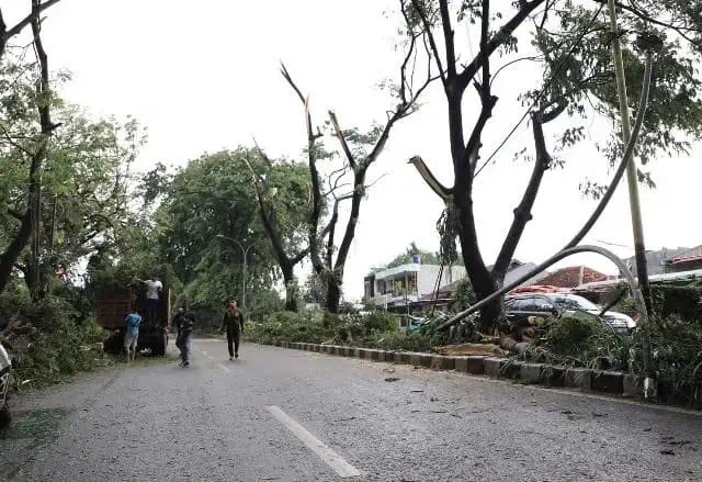 Disbudpar Kota Tangerang Persilakan Masyarakat Ajukan Pemangkasan Pohon