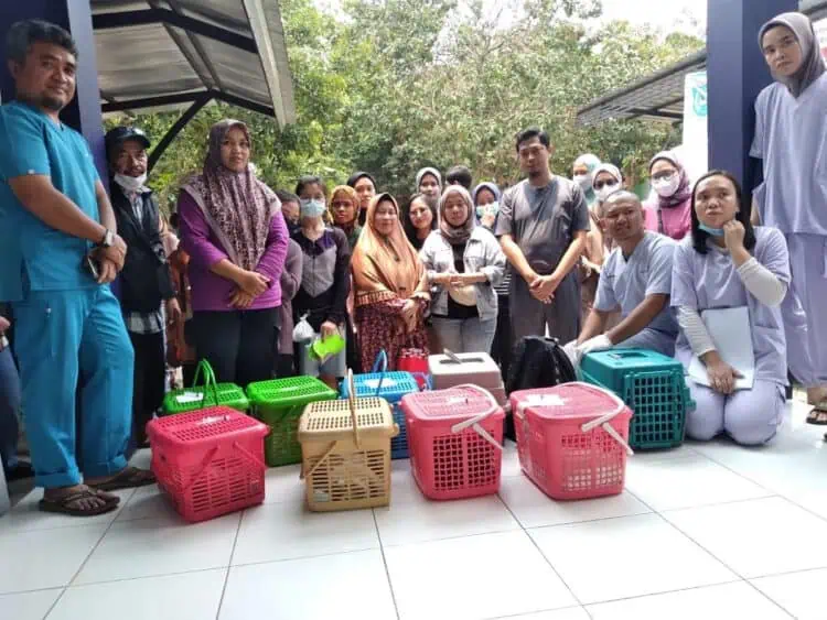 Puskeswan Tangsel Gelar Sterilisasi Kucing Massal