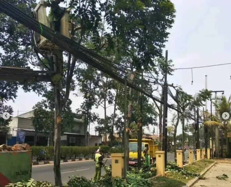 Disbudpar Kota Tangerang Lakukan Pemangkasan Pohon