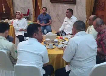 Mulai 2024, Pemkab Serang Akan Tarik Pajak Listrik Non PLN di Industri
