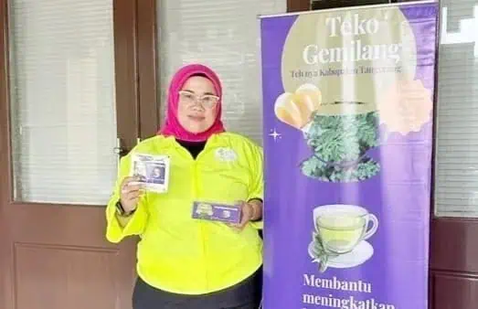 Dinkes Kabupaten Tangerang Launching Teh Kelor Gemilang Hasil Penelitian Dr Erina Nur Afni