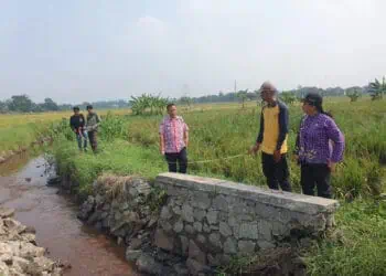 Antisipasi Banjir di Cikupa, UPTD SDA Wilayah VII Lanjutkan Normalisasi SP Rawa Bangke