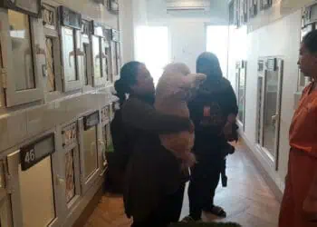 Liburan Nataru, Tempat Penitipan Hewan di Pinang Penuh
