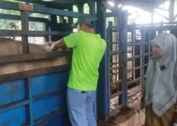 Disnakeswan Lebak Vaksinasi Hewan Milik Petani
