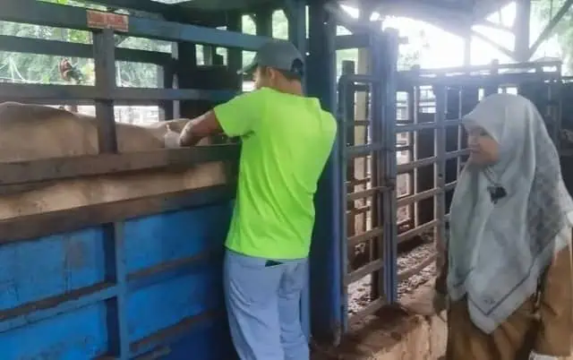 Disnakeswan Lebak Vaksinasi Hewan Milik Petani