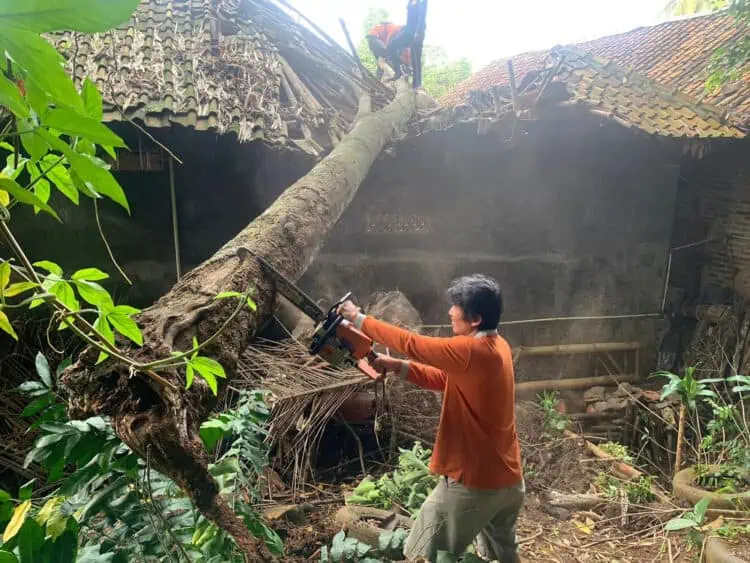 Tertimpa Pohon, Rumah Warga Sampangbitung Pandeglang Rusak Berat