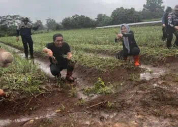 Pj Gubernur Banten Al Muktabar, panen bawang merah dan rambutan, Jumat (19/1/2024). (ISTIMEWA)