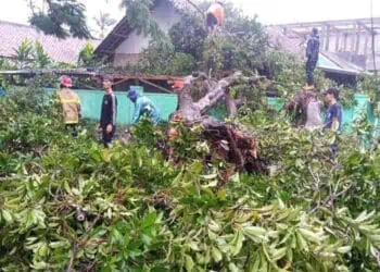 Cuaca Ekstrem, Puluhan Rumah di Pandeglang Rusak Tersapu Angin Kencang