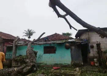 Pohon Tumbang Timpa Rumah Warga Kampung Selon Desa Kali Asin Sukamulya