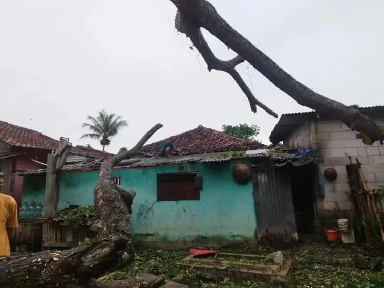 Pohon Tumbang Timpa Rumah Warga Kampung Selon Desa Kali Asin Sukamulya