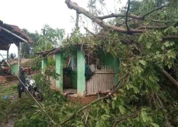 Sebuah rumah warga di Kabupaten Serang, tertimpa pohon tumbang, belum lama ini. (ISTIMEWA)