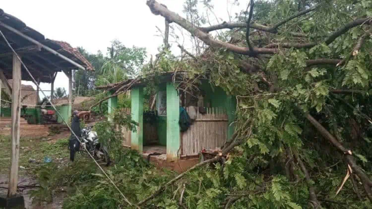Sebuah rumah warga di Kabupaten Serang, tertimpa pohon tumbang, belum lama ini. (ISTIMEWA)