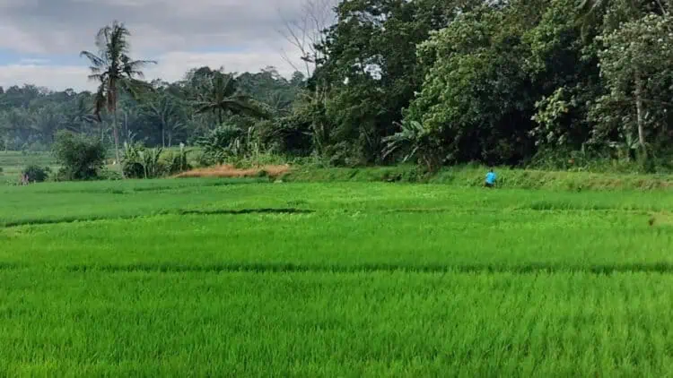 Belasan Ribu Sertifikat Siap Diterbitkan, BPN Pandeglang: Melalui Program PTSL